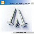 Electro Galvanized Wafer Truss Head Self Tapping Screw